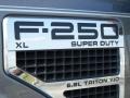 2010 Sterling Gray Metallic Ford F250 Super Duty XL SuperCab 4x4  photo #9