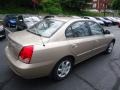 Champagne Beige - Elantra GLS Sedan Photo No. 5