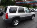 2006 Platinum Silver Metallic Mazda Tribute i  photo #5