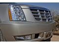 Quicksilver - Escalade AWD Photo No. 6
