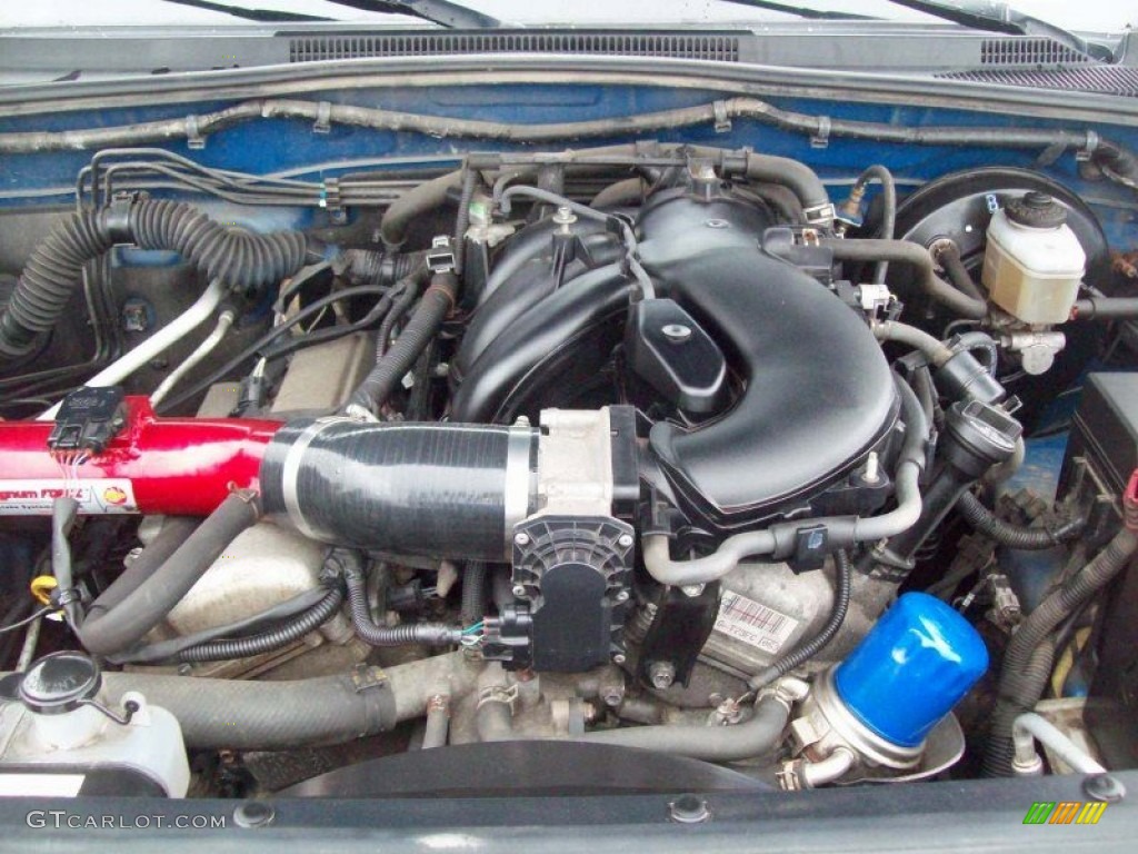 65506081.jpg