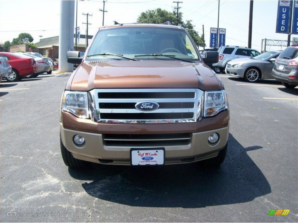 2011 Expedition EL XLT 4x4 - Golden Bronze Metallic / Camel photo #23