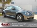 Platinum Gray Metallic - Beetle 2.5L Photo No. 1