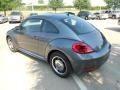 Platinum Gray Metallic - Beetle 2.5L Photo No. 5