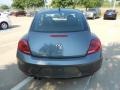 Platinum Gray Metallic - Beetle 2.5L Photo No. 6