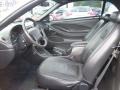 Dark Charcoal 2004 Ford Mustang Convertible Interior Color