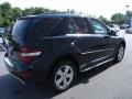 Black - ML 350 Photo No. 7