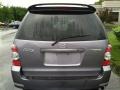 Titanium Gray Metallic - MPV LX Photo No. 21