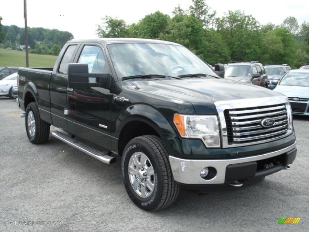 2012 F150 XLT SuperCab 4x4 - Green Gem Metallic / Steel Gray photo #2