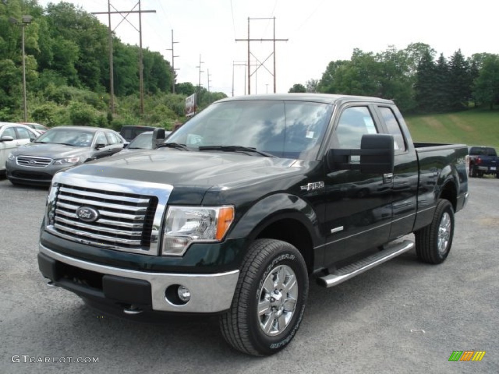 2012 F150 XLT SuperCab 4x4 - Green Gem Metallic / Steel Gray photo #4