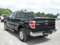 2012 Green Gem Metallic Ford F150 XLT SuperCab 4x4  photo #6