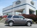 2012 Sterling Gray Metallic Ford Escape XLT V6 4WD  photo #1