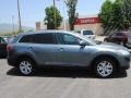 2011 Dolphin Gray Mica Mazda CX-9 Touring  photo #3