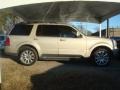 2004 Light French Silk Metallic Lincoln Aviator Luxury  photo #5