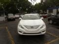 Shimmering White - Sonata GLS Photo No. 2