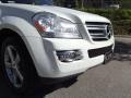Arctic White - GL 450 4Matic Photo No. 5