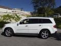 Arctic White - GL 450 4Matic Photo No. 11