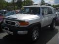 Titanium Metallic - FJ Cruiser 4WD Photo No. 1