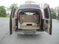 1999 Black Chevrolet Express 1500 Passenger Conversion Van  photo #9