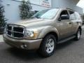 Light Khaki Metallic - Durango SLT 4x4 Photo No. 2