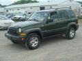 Jeep Green Metallic 2007 Jeep Liberty Sport 4x4 Exterior