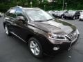 2013 Fire Agate Pearl Lexus RX 350 AWD  photo #6