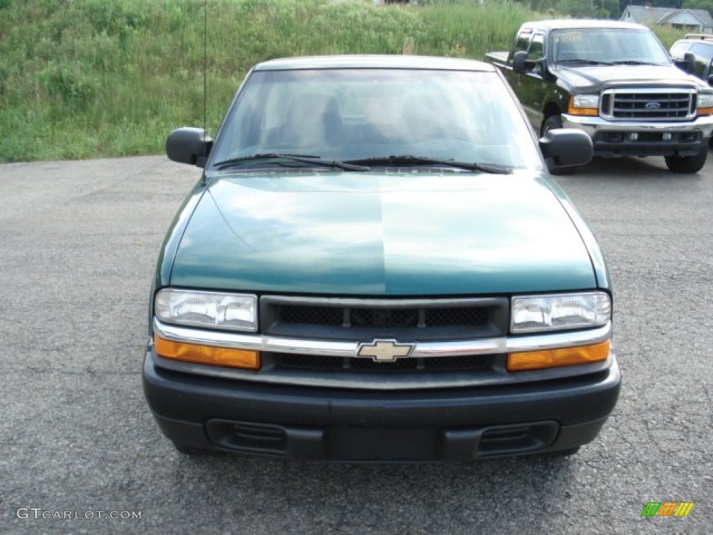 1999 S10 Regular Cab - Meadow Green Metallic / Graphite photo #2