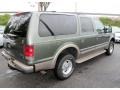 2002 Estate Green Metallic Ford Excursion Limited 4x4  photo #7