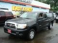 Black Sand Pearl - Tacoma Access Cab Photo No. 3