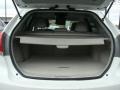 Blizzard White Pearl - Venza I4 Photo No. 13