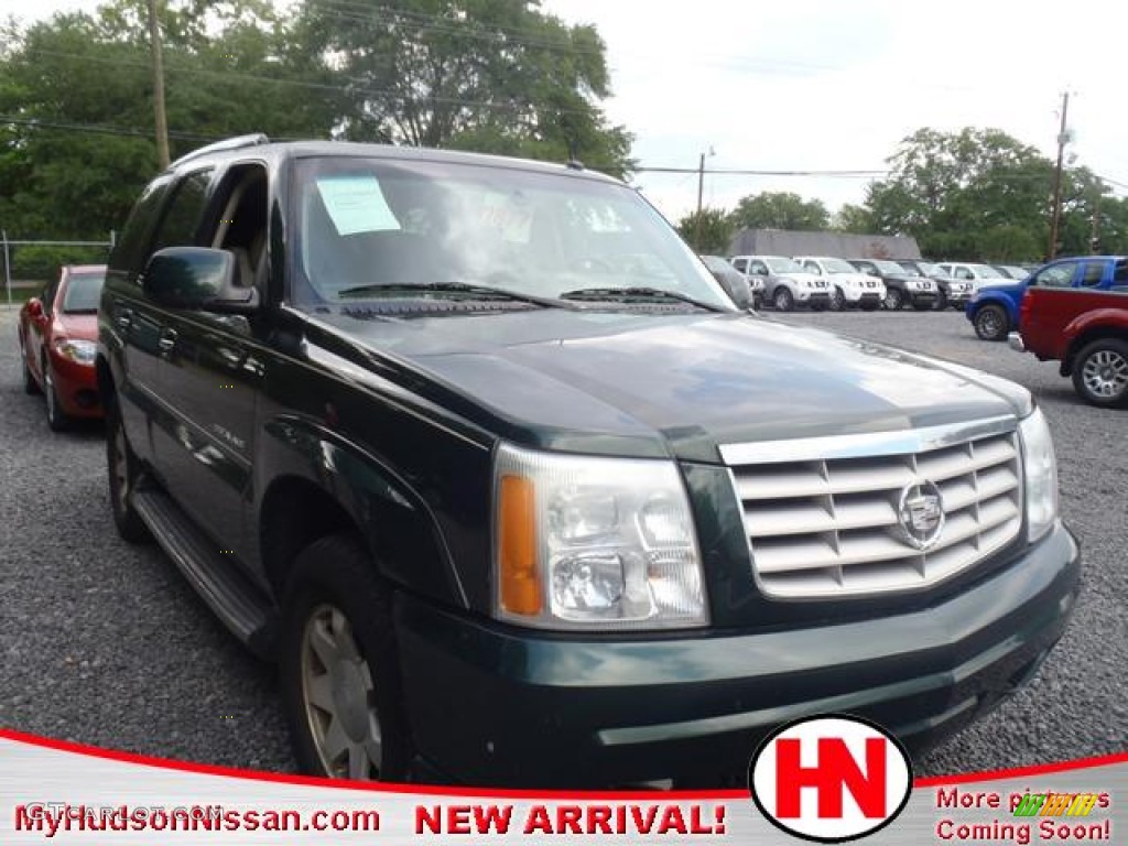 2002 Escalade AWD - Green Envy / Shale photo #1