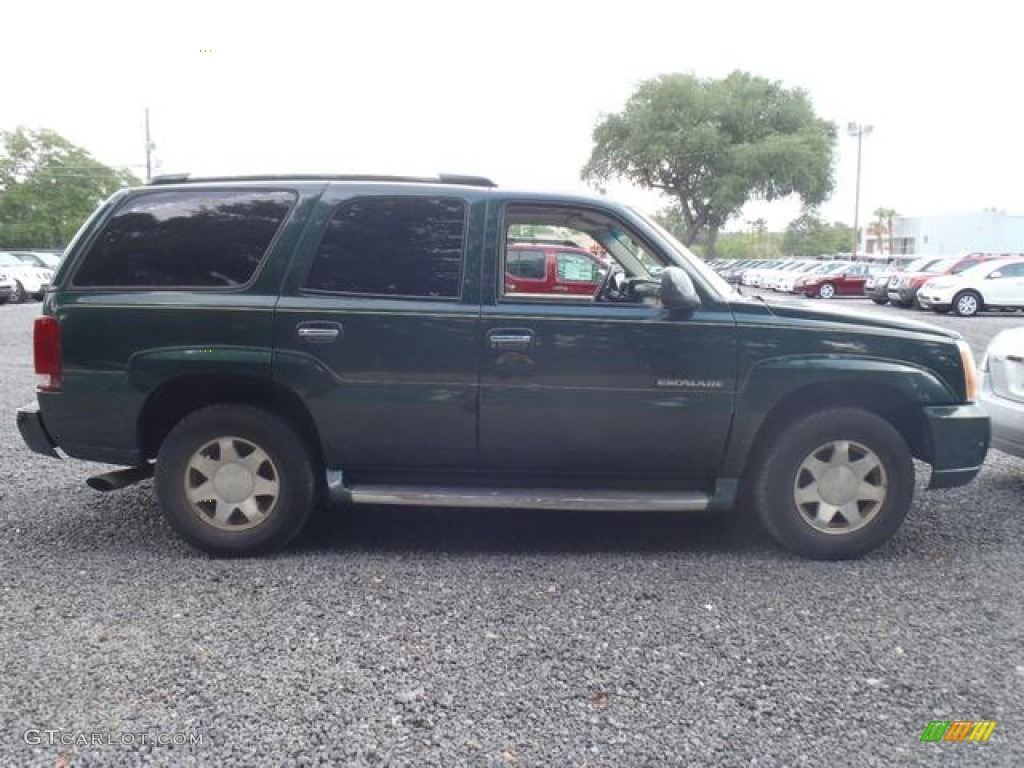 2002 Escalade AWD - Green Envy / Shale photo #3