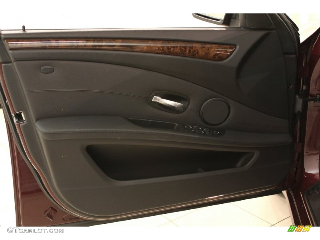 2009 BMW 5 Series 535xi Sedan Door Panel Photos
