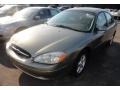 Spruce Green Metallic - Taurus SES Photo No. 1