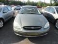 Spruce Green Metallic - Taurus SES Photo No. 2