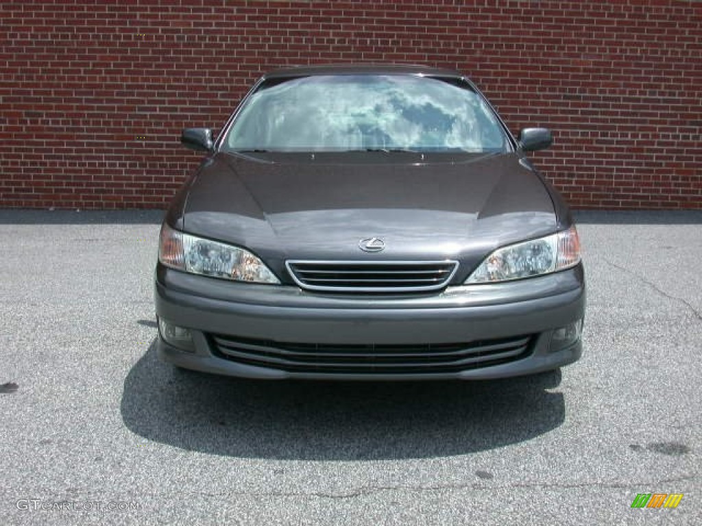 2001 ES 300 - Graphite Gray Metallic / Gray photo #4