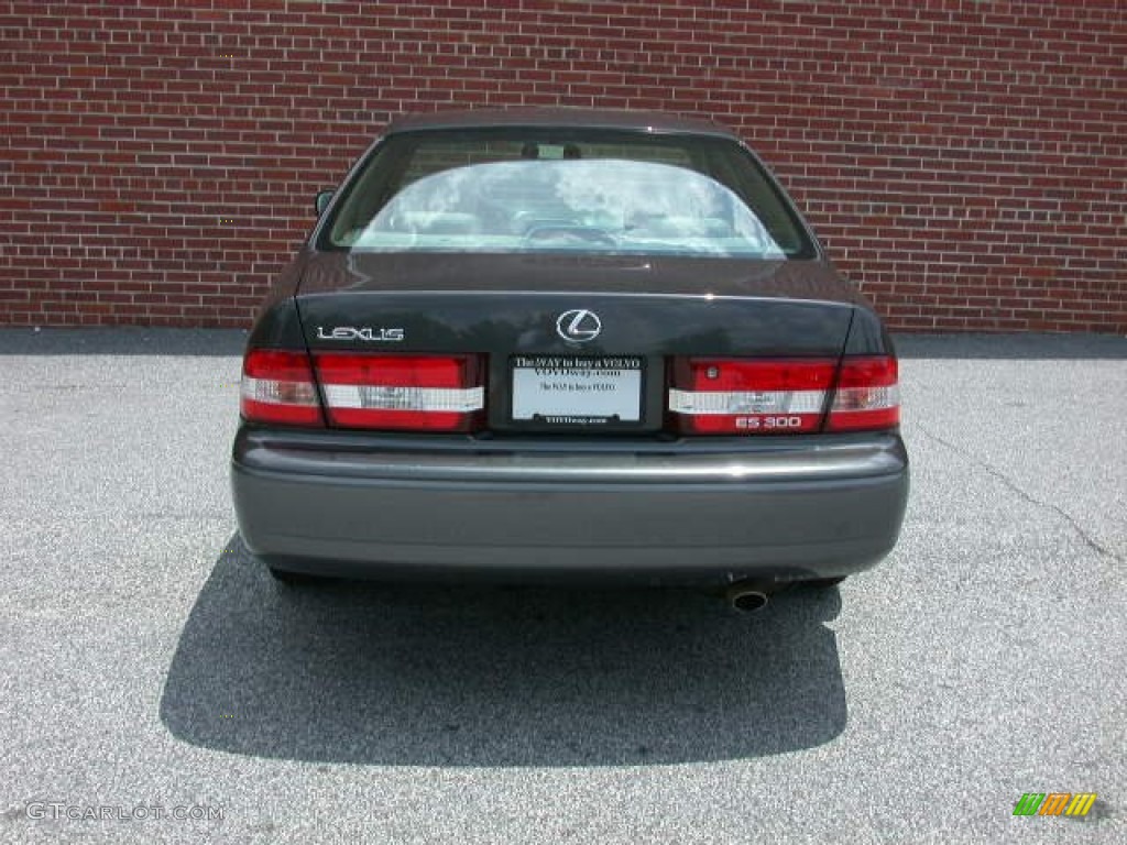 2001 ES 300 - Graphite Gray Metallic / Gray photo #5