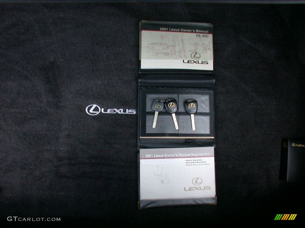 2001 ES 300 - Graphite Gray Metallic / Gray photo #25