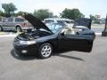 Black Sand Pearl - Solara SE V6 Convertible Photo No. 37