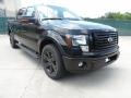 Tuxedo Black Metallic 2012 Ford F150 FX2 SuperCrew Exterior