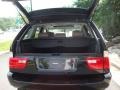 Jet Black - X5 3.0i Photo No. 11