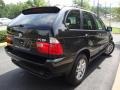 Jet Black - X5 3.0i Photo No. 14