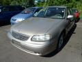 Sandrift Metallic - Malibu LS Sedan Photo No. 4