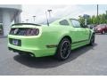 Gotta Have It Green - Mustang Boss 302 Photo No. 3