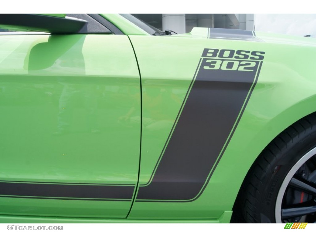 2013 Ford Mustang Boss 302 Marks and Logos Photo #65569295