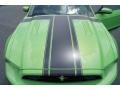 Gotta Have It Green - Mustang Boss 302 Photo No. 25