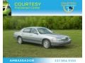 Silver Birch Metallic 2006 Lincoln Town Car Signature