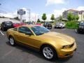 Sunset Gold Metallic 2010 Ford Mustang V6 Coupe