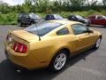  2010 Mustang V6 Coupe Sunset Gold Metallic
