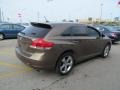 Golden Umber Mica - Venza V6 AWD Photo No. 5